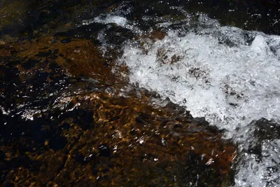 DSC_9945 (Large).JPG